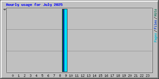 Hourly usage for July 2025