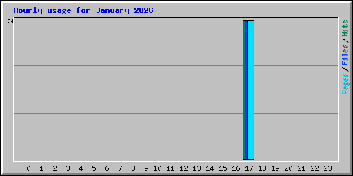 Hourly usage for January 2026